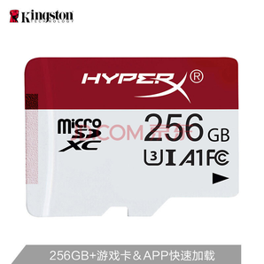 金士顿（Kingston）A1 256GB 100MB/s 内存卡 TF(Micro SD)Class10 UHS-I U3 专业版高速下载游戏存储卡
