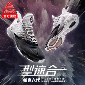 匹克（PEAK）明星款篮球鞋帕克6代六代TP9实战鞋