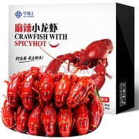 今锦上 麻辣小龙虾（HACCP认证） 1.8kg 6-8/25-33只 净虾1kg 海鲜水产