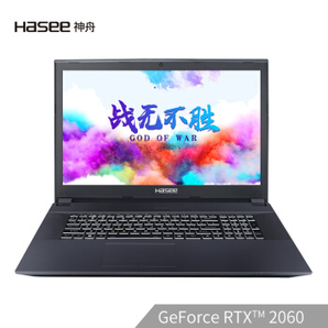神舟(HASEE)战神GX8-CR5S1 RTX2060独显94%色域120Hz电竞屏17.3英寸游戏笔记本电脑