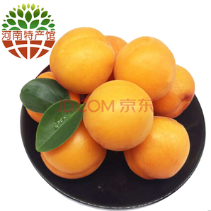 现摘黄杏 新鲜水果黄杏子 2.5kg 18.9元包邮