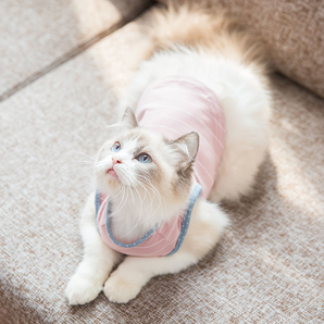 神经猫 可爱猫咪衣服 2色 XS-XL码可选 19.8元包邮（需用券）