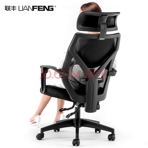 LIANFENG 联丰 DS-203CG 家用办公人体工学电脑椅 黑色 359元包邮