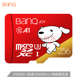 BanQ U3 Class10 A1 V30 TF存储卡 256GB 