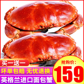 英国面包蟹熟冻鲜活水产冷冻超大2只螃蟹套餐面包屑蟹海鲜黄金蟹
