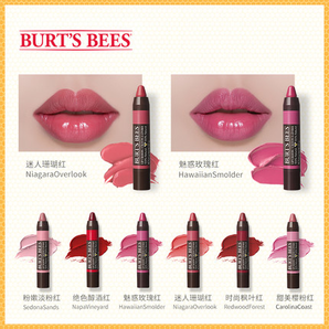 BURT'S BEES 小蜜蜂 凝彩唇膏笔口红 3.11g