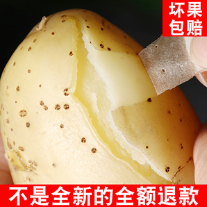 黄心土豆新鲜马铃薯5斤 9.8元包邮