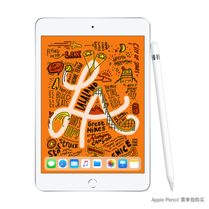 Apple/苹果iPad mini 7.9英寸平板电脑WiFi版