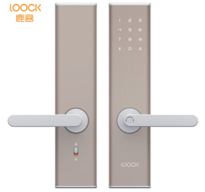  LOOCK 鹿客 Touch 智能指纹锁 2899元包邮（下单立减）