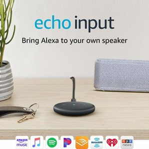 Echo Input  智能音箱