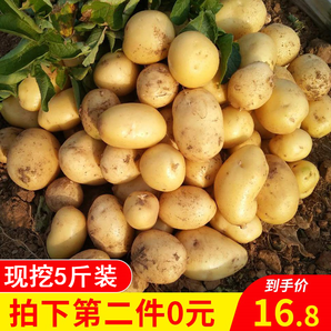 植谷农坊 新鲜小土豆 5斤 *2件 11.8元包邮（双重优惠）