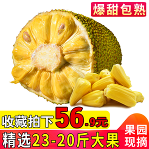 六井 海南菠萝蜜 23-26斤 56.9元包邮