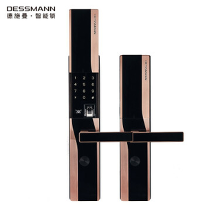 DESSMANN 德施曼 D830 小嘀系列智能锁