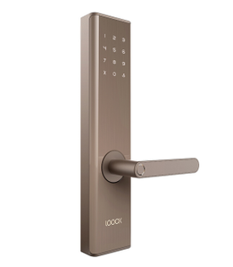 LOOCK 鹿客 DSL-C05 Touch 智能指纹锁 2699元包邮（需用券）