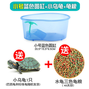 宏雨 蓝色龟缸+小乌龟+龟粮（40天份） 8.8元包邮（需用券）