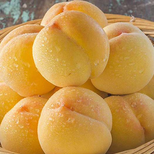 黄桃新鲜黄毛桃5斤