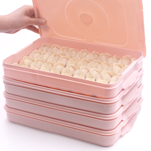 推特 冻饺子冰箱保鲜盒 2层1盖