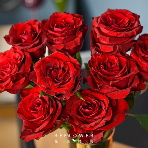 七夕情人节送玫瑰  9枝国产红玫瑰