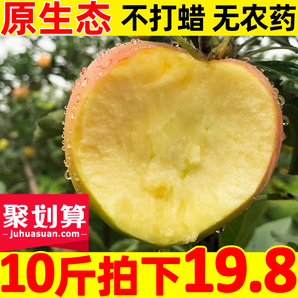 苹果水果新鲜10斤 