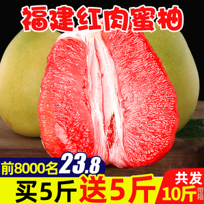 福建红心柚子带箱10斤 