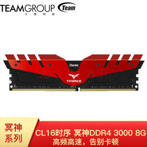 Team 十铨 冥神 DDR4 3000MHz 台式机内存条 8GB 