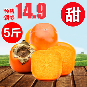 广西恭城新鲜水果当季甜硬脆柿子 5斤