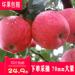 能量 现摘现发冰糖心红富士苹果 10斤21.9元（需用券）