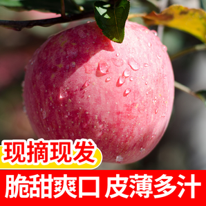 红富士苹果水果新鲜10斤带箱