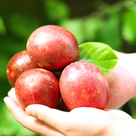 云南大百香果带箱6斤