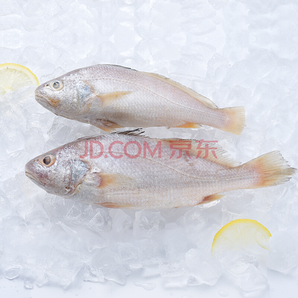 海悦食品 深海野生小黄鱼 500g 3-4条