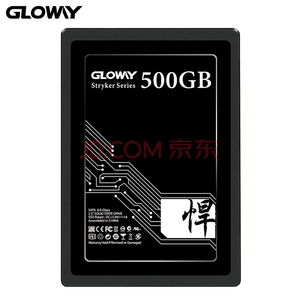 7日0点： GLOWAY 光威 悍将系列 SATA3.0 SSD固态硬盘 500GB 289元包邮