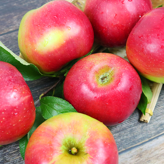 鲜姿东北红玉苹果净重5斤果径775cm198元包邮需用券