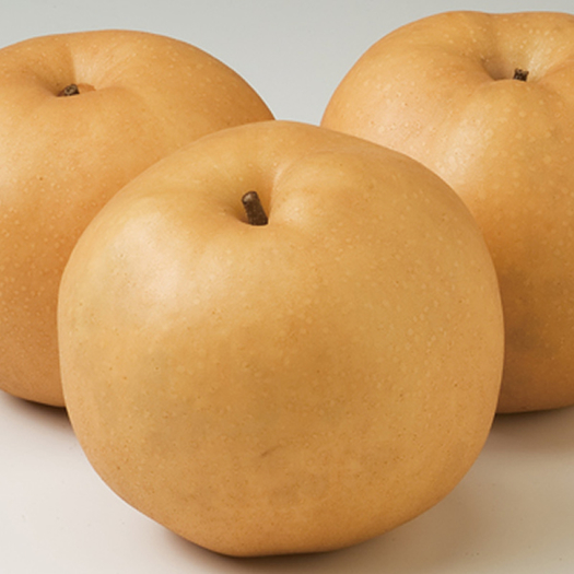 32:11丰水梨是一种原产于日本的梨,含糖量高达16%,成熟颜色为红褐色