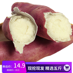知味唐州 正宗唐河红薯 沙地番薯 白心红薯 板栗番薯 5斤