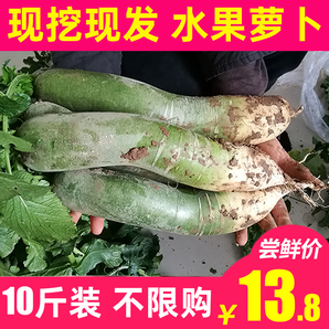 山东潍坊特产青萝卜10斤