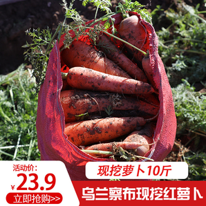 青汉羊 新鲜水果胡萝卜 5斤 *2 