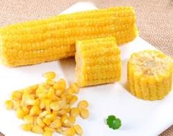水果玉米 农家新鲜玉米单根装 折0.82元/根