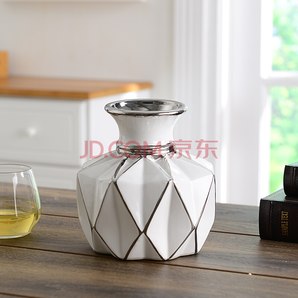 Hoatai Ceramic 华达泰 创意陶瓷插花花瓶摆件 矮款白 39元包邮（需用券）
