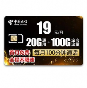 22点：中国电信 手机卡 20G通用+100G定向流量+100分钟通话 电信冰神卡19元/月 某东商城