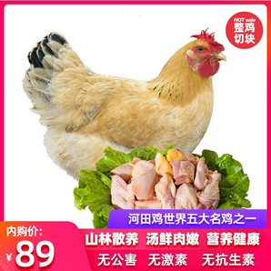 龙岩老字号长汀河田鸡散养土鸡150天母鸡生鲜柴鸡2斤