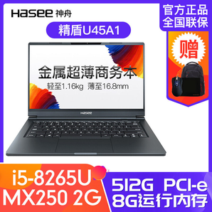 Hasee 神舟 精盾U45A1 畅玩版 14英寸笔记本电脑（i5-8265U、8GB、512GB、MX250）