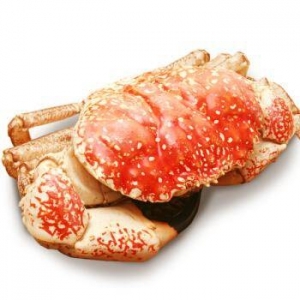 京鲜生澳洲进口鲜活皇帝蟹4000g4500g