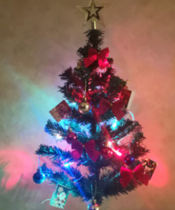 驭野 小彩灯圣诞树 60cm 21件套 带灯