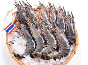 泰国进口 活冻黑虎虾 400g（约16-20只） *3