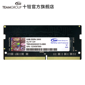 Team 十铨 DDR4 2666 笔记本内存条 8GB 175元包邮