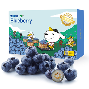 预售！ 智利进口 蓝莓 125g*12盒装 *2件