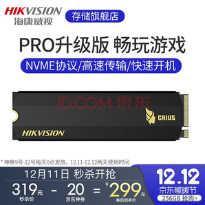 HIKVISION 海康威视 C2000 PRO 紫光版 M.2 NVMe 固态硬盘 256GB
