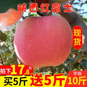 群农百家 红富士苹果 净重9斤 果径65mm-70mm 14.8元包邮（需用券）