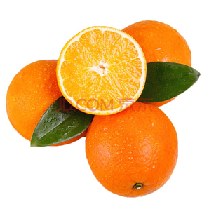 食九月 江西赣南脐橙 单果果径60-70mm 5斤 18.9元包邮（需用券）