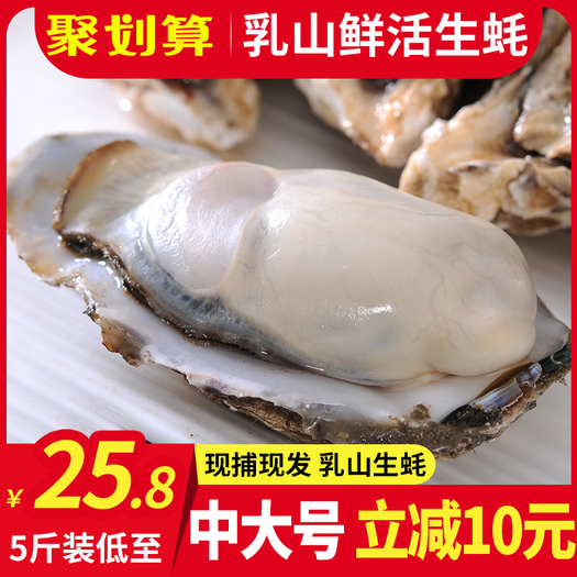 乳山生蚝鲜活10斤5斤装一箱即食小牡蛎新鲜带壳海蛎子肉特大海鲜